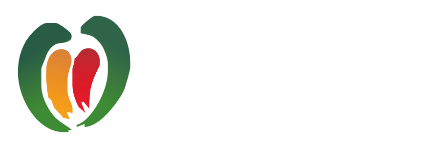 Federação das Câmaras Portuguesas de Comércio no Brasil